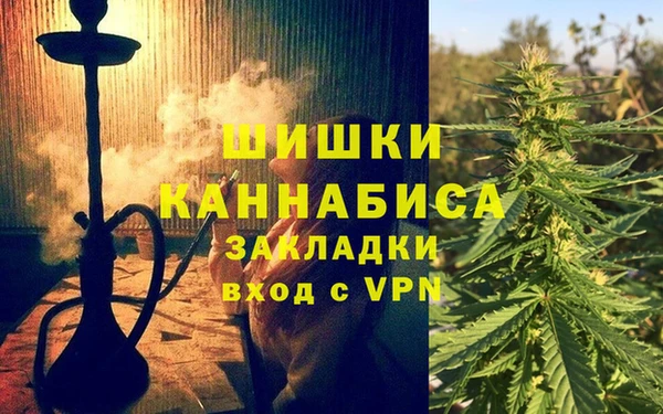 гидропоника Рославль