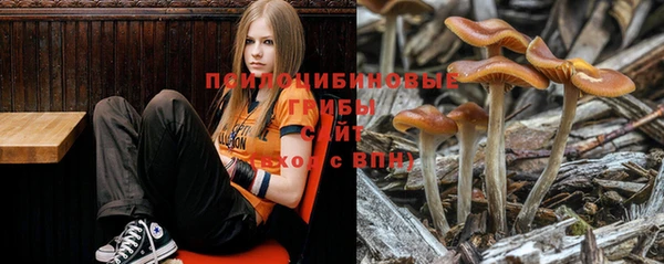 гидропоника Рославль